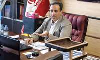 روند مطلوب جوجه‌ریزی در کرمانشاه؛ تولید مرغ فراتر از نیاز بازار استان